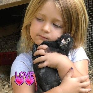 Meet your Posher, Debbie